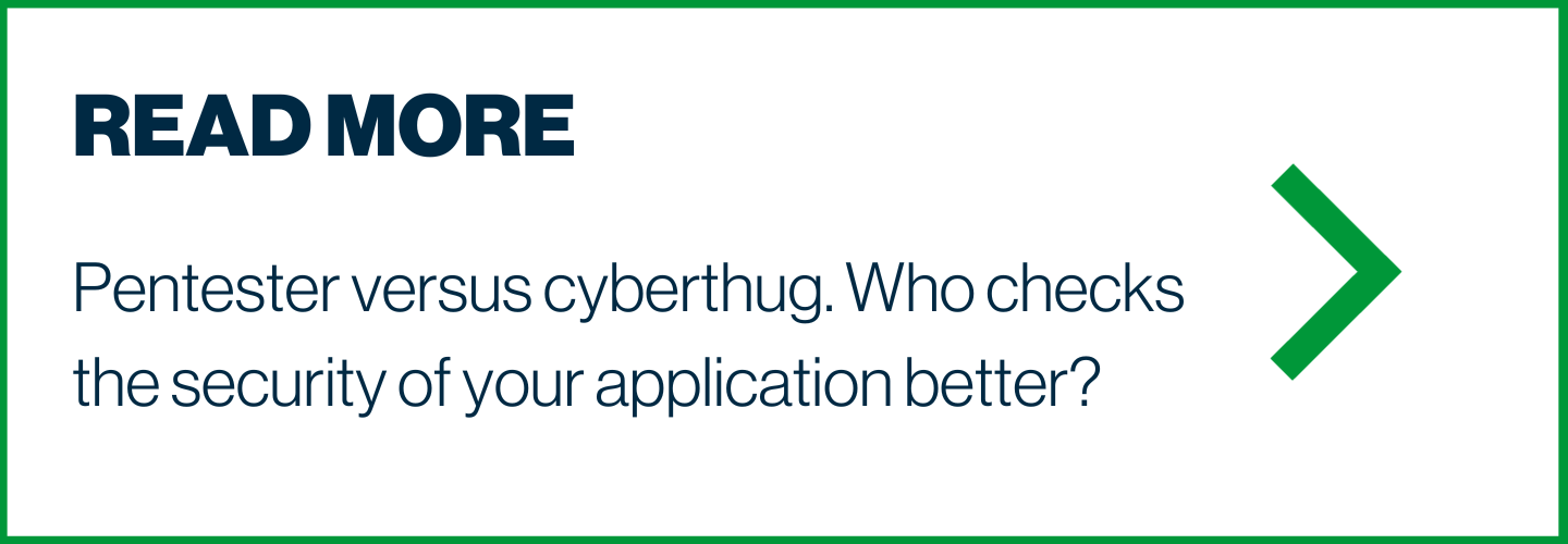 Pentester versus cyberthug. Who checks the security of your application better